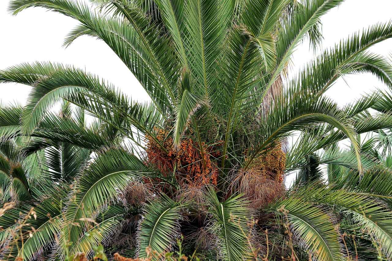 0 Faizli Kredi Nasıl Alınır?