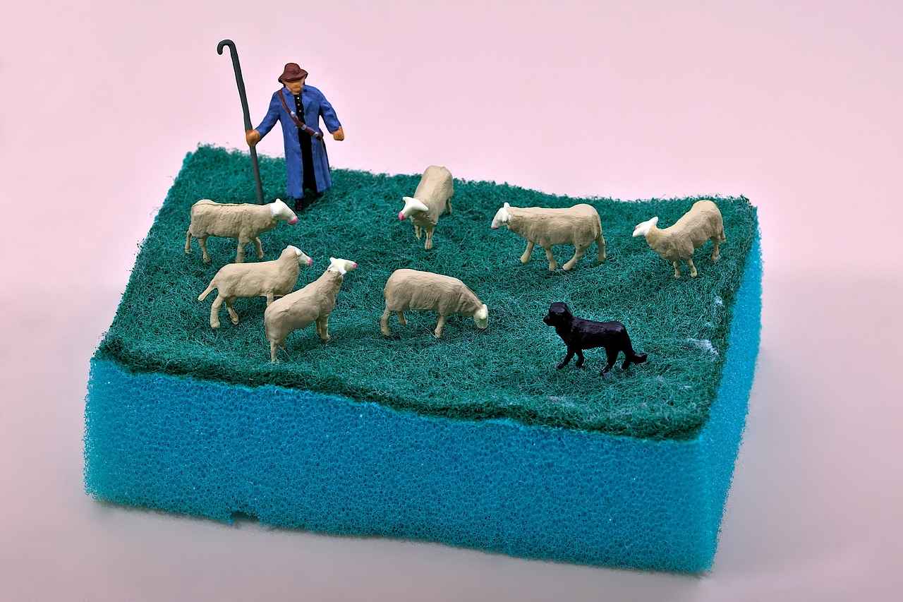 Sonuç: 0 Faizli Kredi ile Hayallerinize Ulaşın