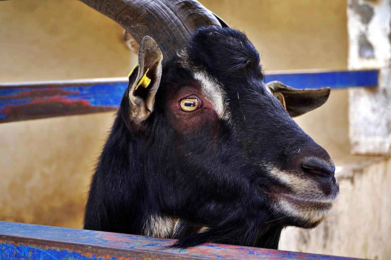 0 Faizli Kredi ile Borçlarınızı Nasıl Yönetirsiniz? 5 Sonuç: Borç Yönetiminde Doğru Adımlar