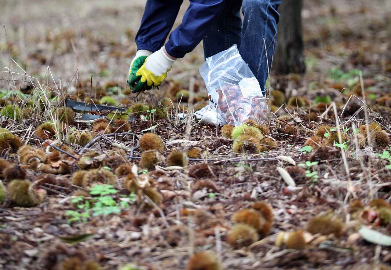 Sonuç: 0 Faizli Kredilerin Önemi