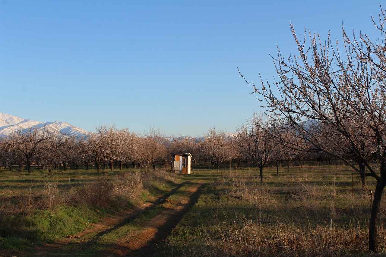 0 Faizli Kredi İle Ekonomik Dönüşüm 3 0 Faizli Kredilerin Sağladığı Fırsatlar