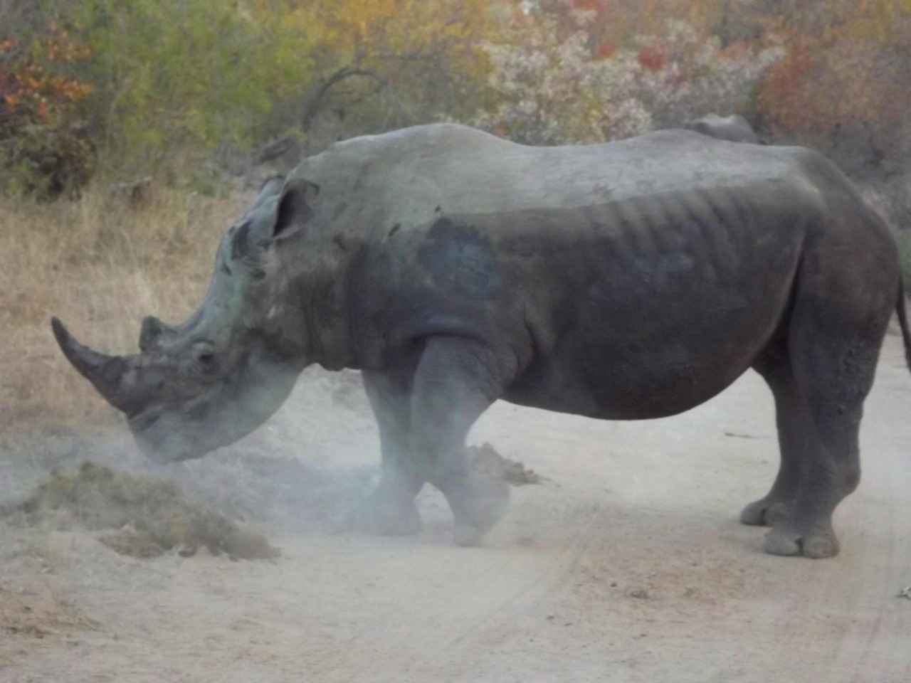 0 Faizli Kredi Nedir?