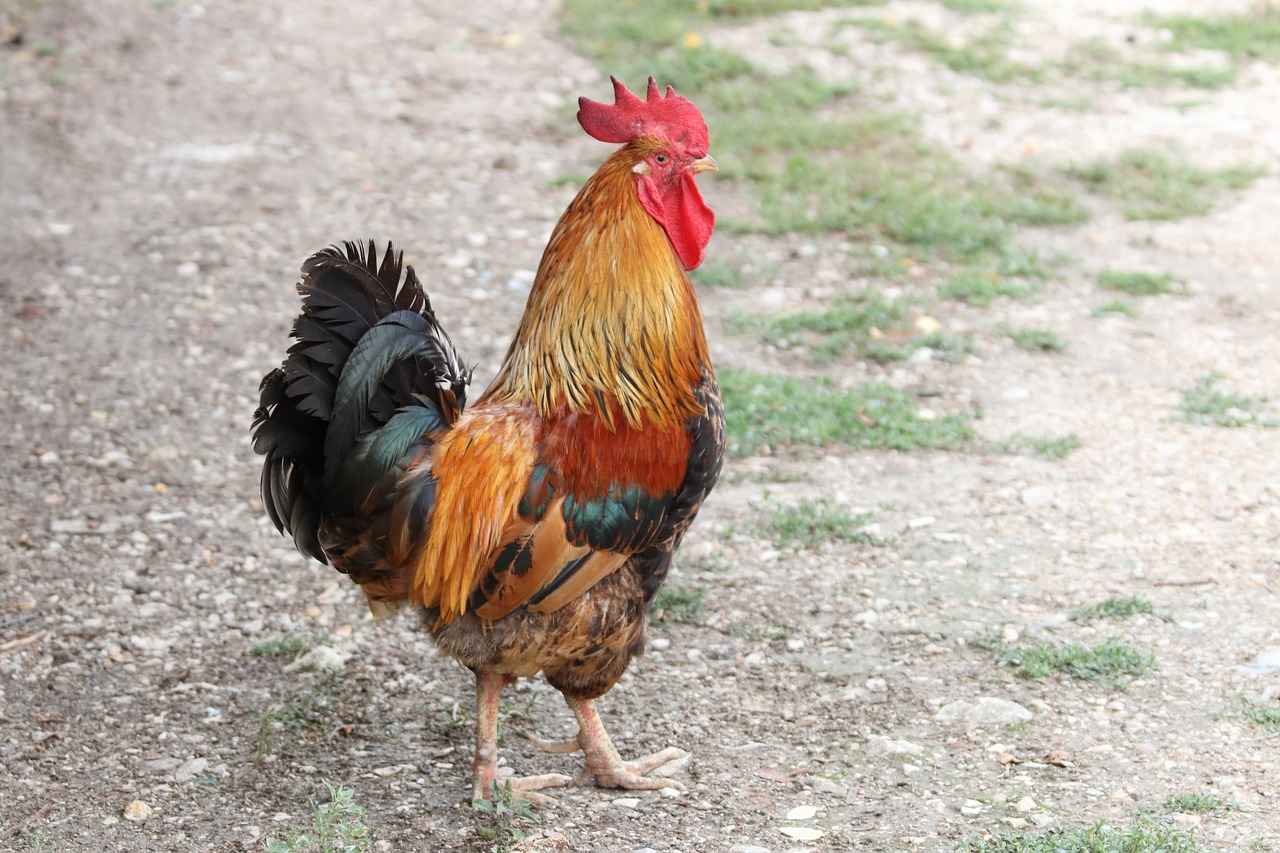 0 Faizli Kredi Başvuru Süreci