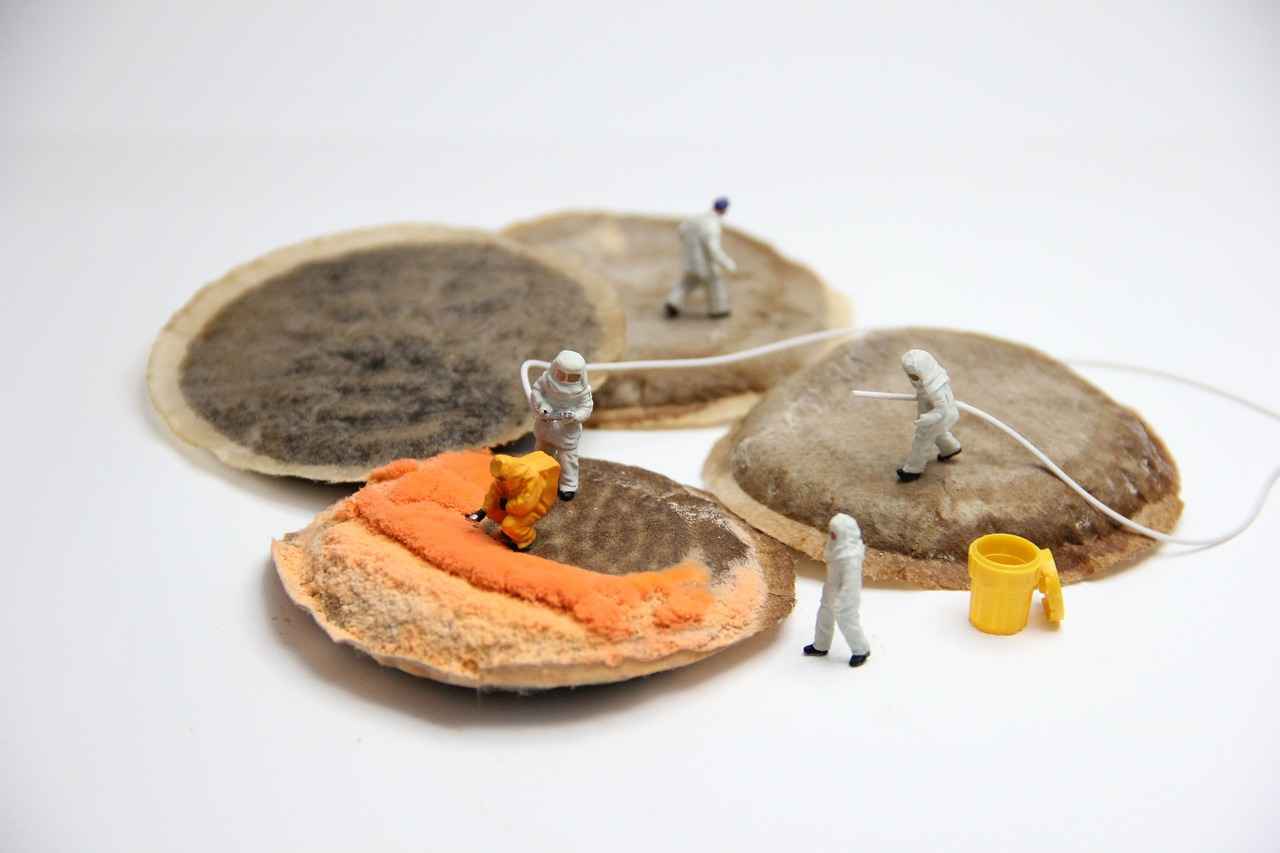 Sonuç: 0 Faizli Kredi ile Ekonomik Fırsatlar