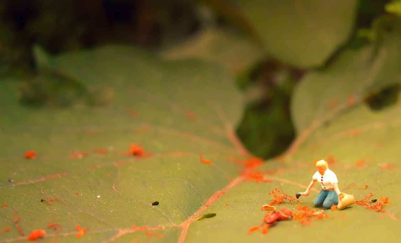 0 Faizli Kredi Başvuru Süreci