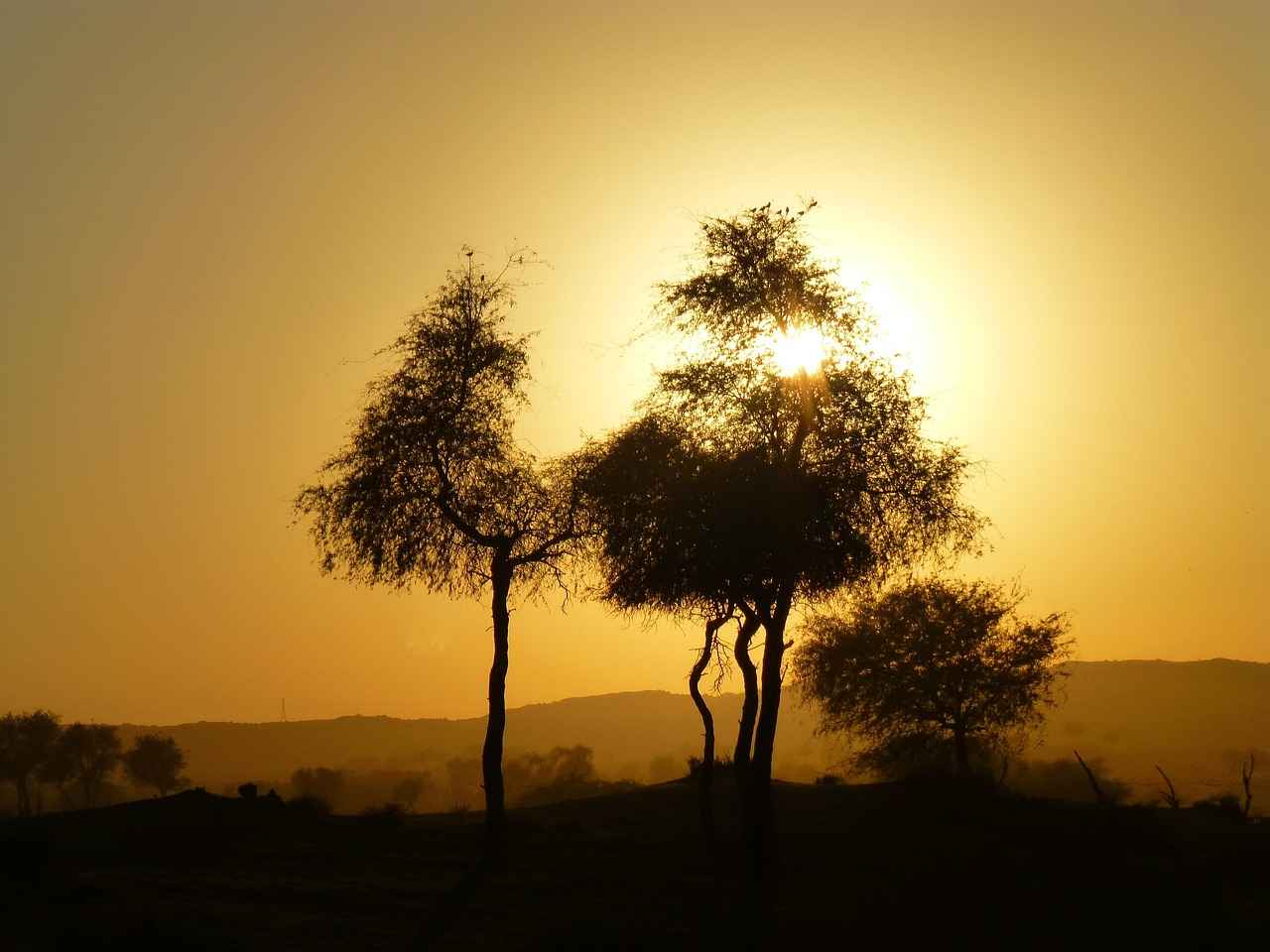 0 Faizli Kredilerin Avantajları