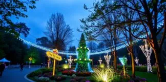 Teknoloji ile Dönüşen Wolfsburg Parkları: Eğlencenin Yeni Yüzü Wolfsburg Parks Transformed by Technology: The New Face of Entertainment